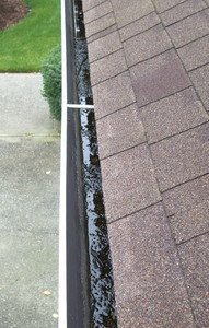 Before — debris packed into a Portland-area residential gutter, ready to overflow at the next storm.