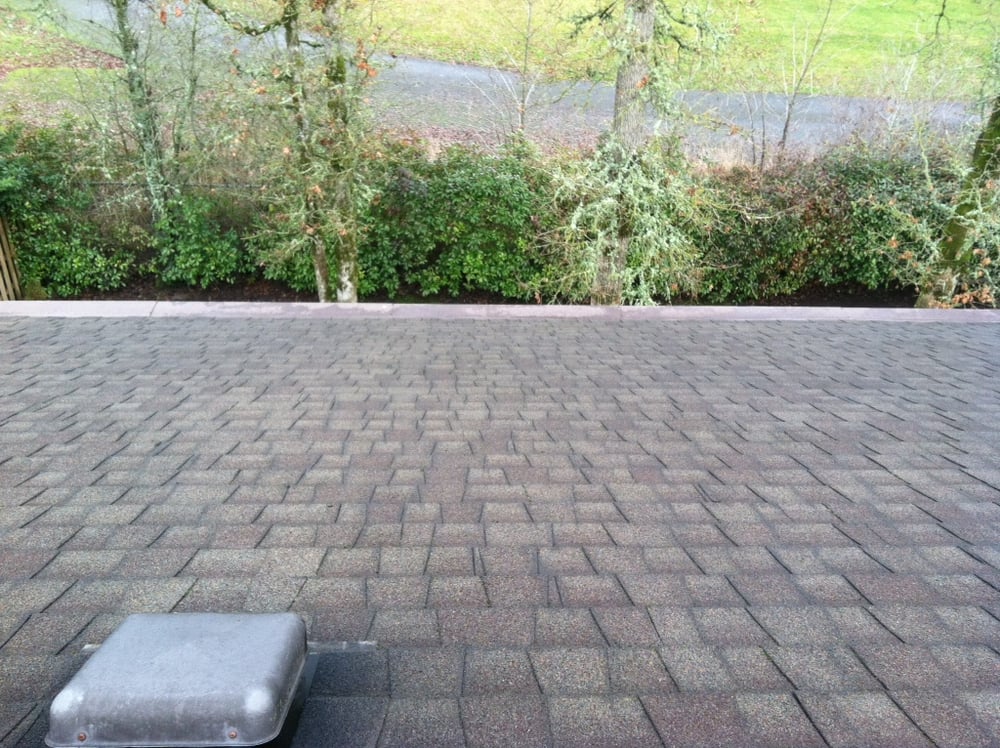 After: hand-brushed clean, zinc-treated, ready for its 2-year moss-free stretch.